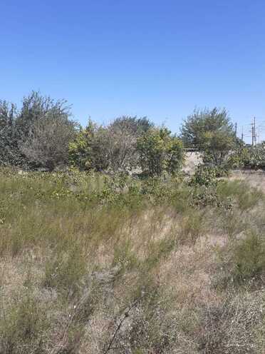 Satılır  torpaq 15 sot, Novxanı q., photo 1 from 9