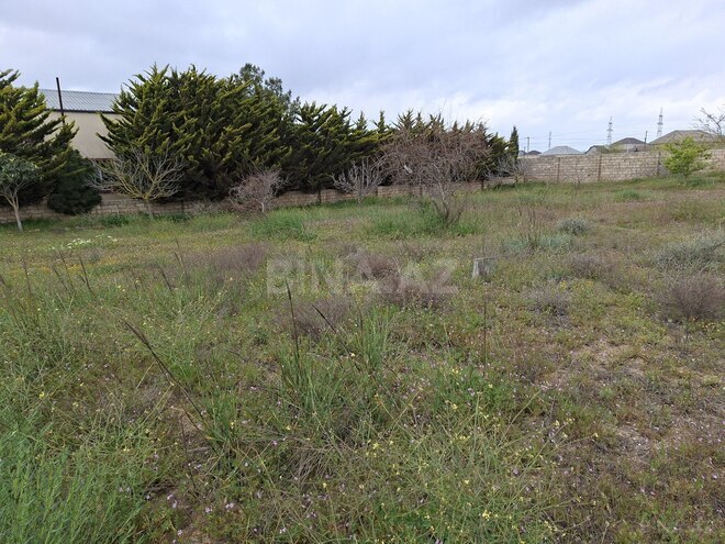 Satılır 4 otaqlı həyət evi/bağ evi 110 m², Qala q., photo 6 from 19