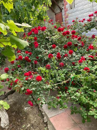 Продаётся 5-комн. дом/дача 153 м², photo 5 from 26