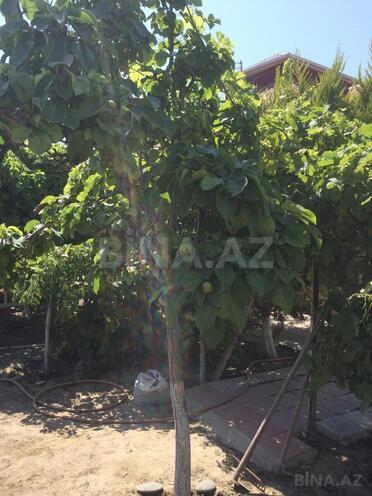 Продаётся 5-комн. дом/дача 153 м², photo 15 from 26