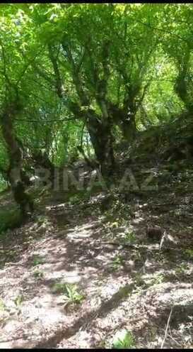 Продаётся  участок 20.6 сот, photo 16 from 18