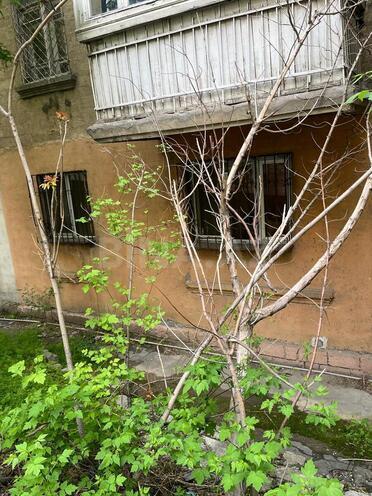 Продаётся 3-комн. вторичка 78 м², м. Низами, photo 13 from 15
