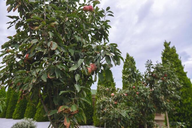 Сдаётся 5-комн. дом/дача 250 м², пос. Бильгях, photo 8 from 32