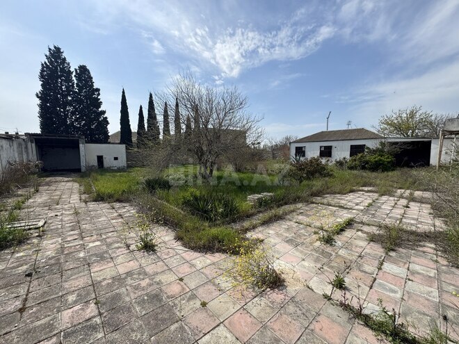 Продаётся  участок 12 сот, пос. Бина, photo 6 from 14