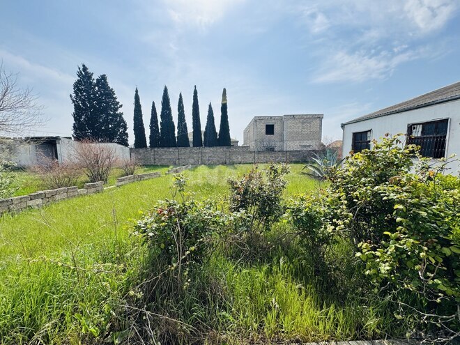 Продаётся  участок 12 сот, пос. Бина, photo 9 from 14