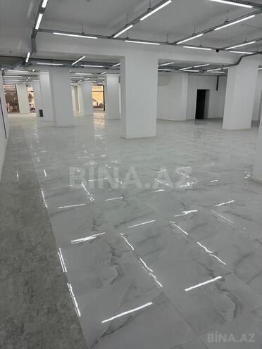 Сдаётся  объект 1 500 м², м. Ази Асланов, photo 13 from 19