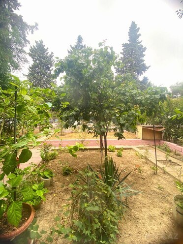 Продаётся 3-комн. вторичка 90 м², м. Кара Караев, photo 22 from 24