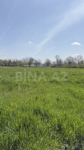 Satılır  torpaq 35 sot, photo 7 from 12