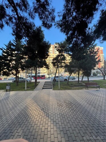 Сдаётся  объект 75 м², м. Кара Караев, photo 6 from 12
