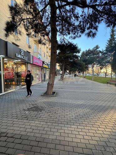 Сдаётся  объект 75 м², м. Кара Караев, photo 7 from 12