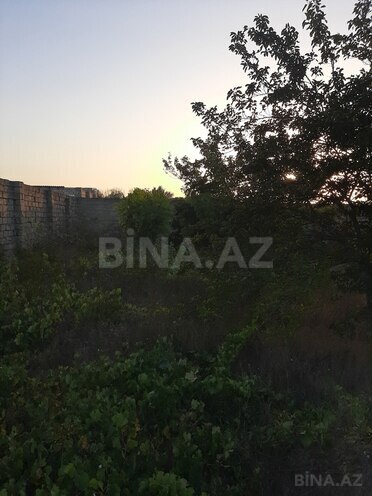 Продаётся  участок 12 сот, пос. Нардаран, photo 23 from 26