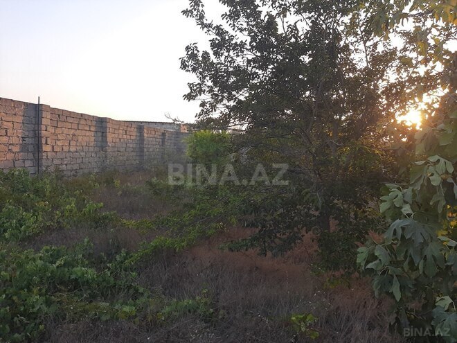 Продаётся  участок 12 сот, пос. Нардаран, photo 21 from 26