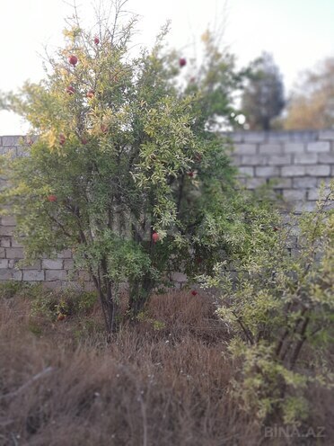 Продаётся  участок 12 сот, пос. Нардаран, photo 20 from 26