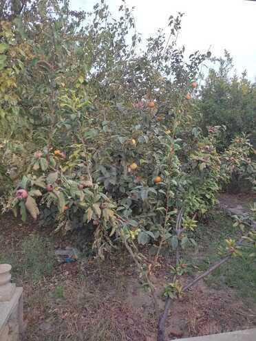 Продаётся 5-комн. дом/дача 180 м², пос. Новханы, photo 17 from 23