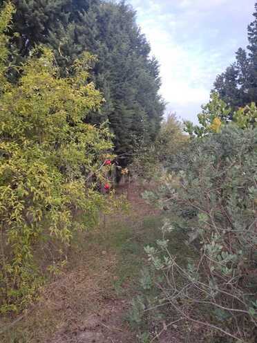 Продаётся 5-комн. дом/дача 180 м², пос. Новханы, photo 11 from 23