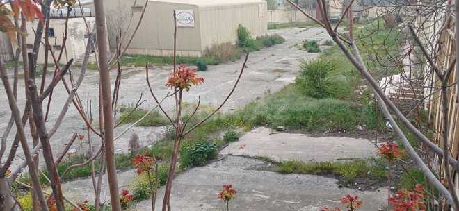 Продаётся  участок 100 сот, м. 20 января, photo 7 from 11