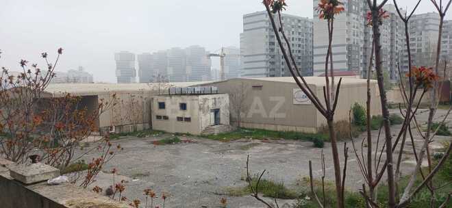 Продаётся  участок 100 сот, м. 20 января, photo 6 from 11