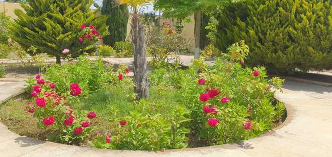 Satılır 5 otaqlı həyət evi/bağ evi 200 m², Dübəndi q., photo 14 from 22