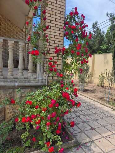 Satılır 5 otaqlı həyət evi/bağ evi 200 m², Dübəndi q., photo 11 from 22