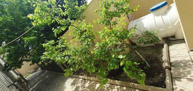 Satılır 5 otaqlı həyət evi/bağ evi 200 m², Dübəndi q., photo 16 from 22