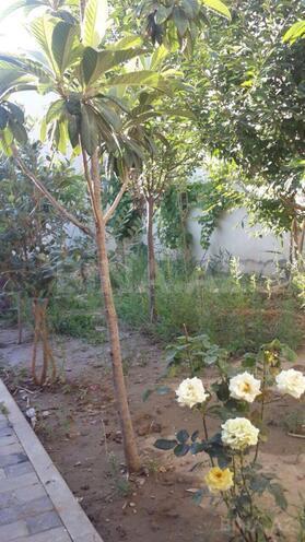 Сдаётся 3-комн. дом/дача 100 м², photo 9 from 17