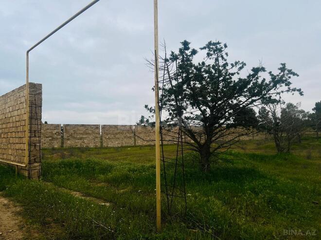 Продаётся  участок 17 сот, пос. Бина, photo 4 from 6