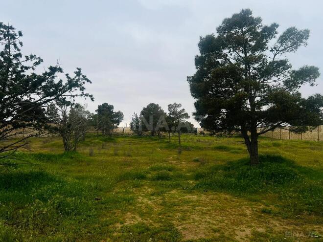 Продаётся  участок 17 сот, пос. Бина, photo 1 from 6