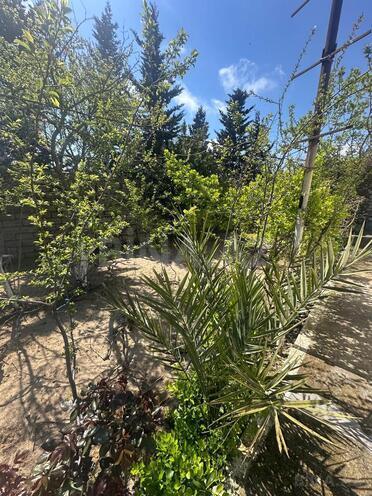 Продаётся  участок 6 сот, пос. Бильгях, photo 1 from 7