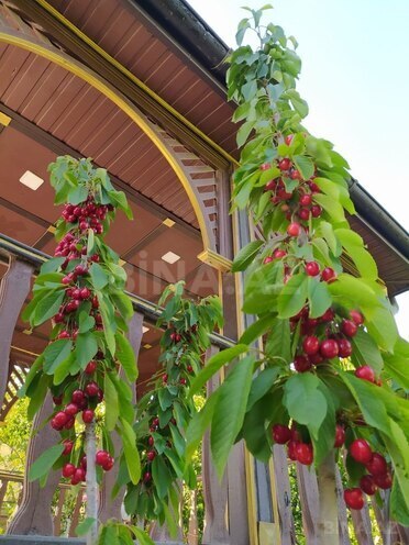 Сдаётся 6-комн. дом/дача 300 м², пос. Новханы, photo 14 from 32