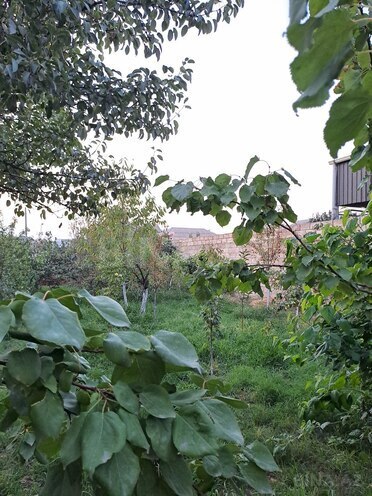 Продаётся 3-комн. дом/дача 80 м², photo 10 from 20