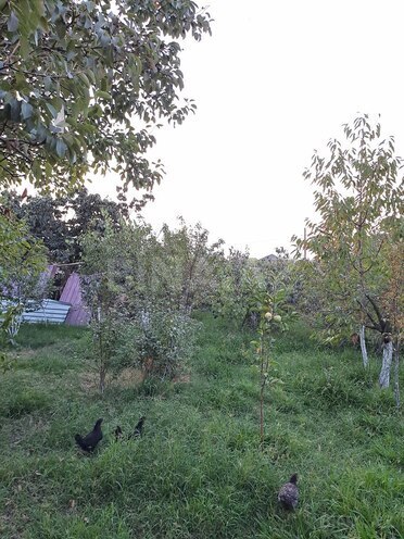 Продаётся 3-комн. дом/дача 80 м², photo 11 from 20