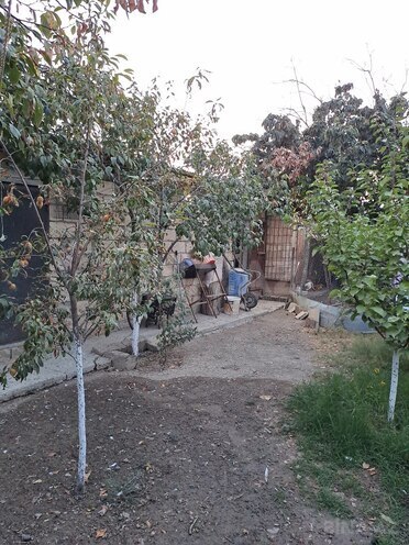 Продаётся 3-комн. дом/дача 80 м², photo 12 from 20