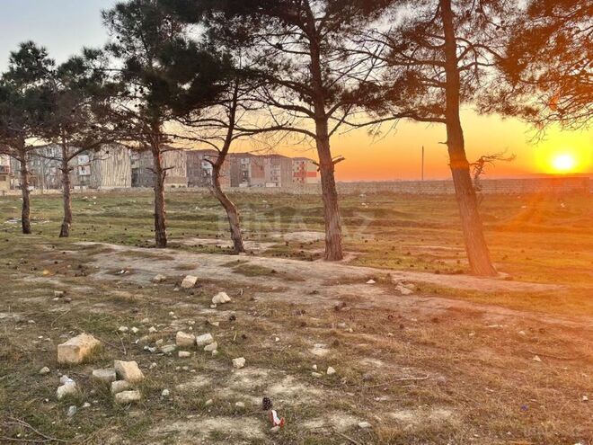 Продаётся  участок 300 сот, пос. Мамедли, photo 4 from 6