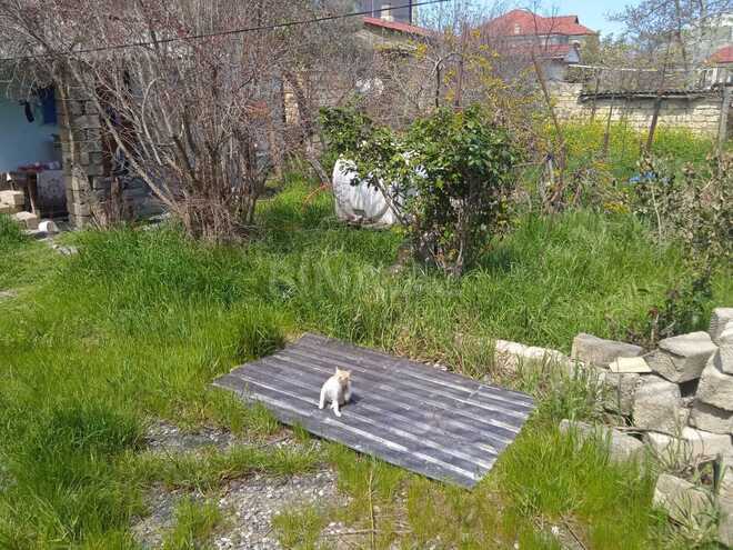 Satılır  torpaq 5.3 sot, Badamdar q., photo 1 from 7