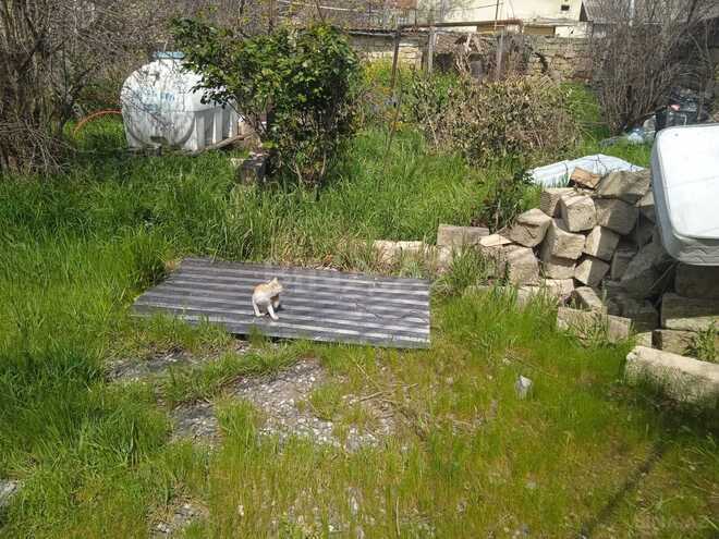 Satılır  torpaq 5.3 sot, Badamdar q., photo 6 from 7