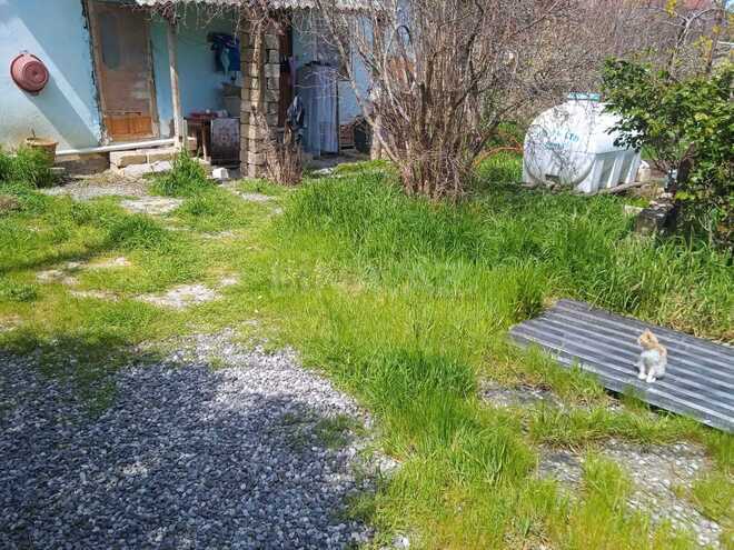 Satılır  torpaq 5.3 sot, Badamdar q., photo 3 from 7