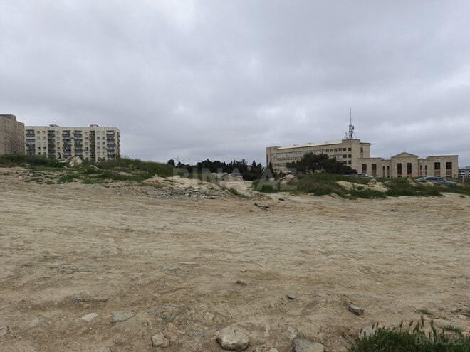 Продаётся  участок 85 сот, пос. Бадамдар, photo 4 from 9