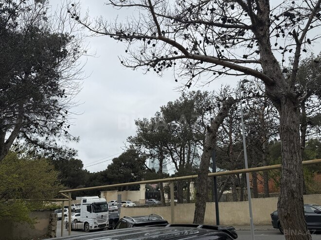 Продаётся 3-комн. вторичка 100 м², пос. Ясамал, photo 23 from 24