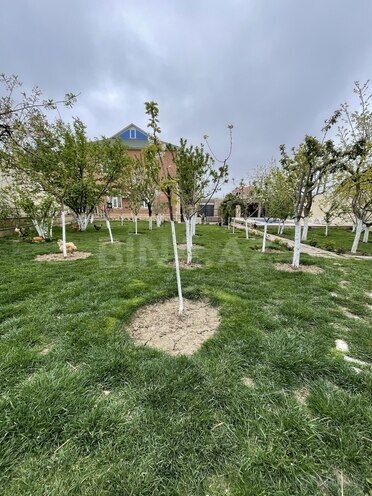 Сдаётся 5-комн. дом/дача 240 м², пос. Новханы, photo 4 from 23