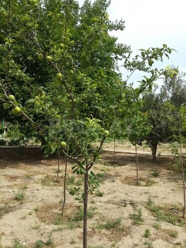 Сдаётся 5-комн. дом/дача 300 м², пос. Новханы, photo 10 from 22