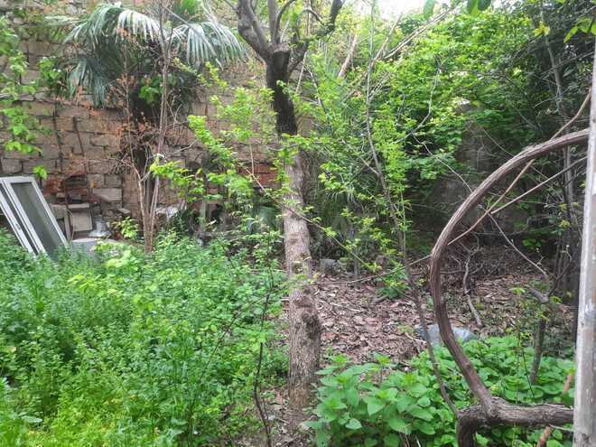 Продаётся 5-комн. дом/дача 100 м², пос. М. Расулзаде, photo 1 from 29