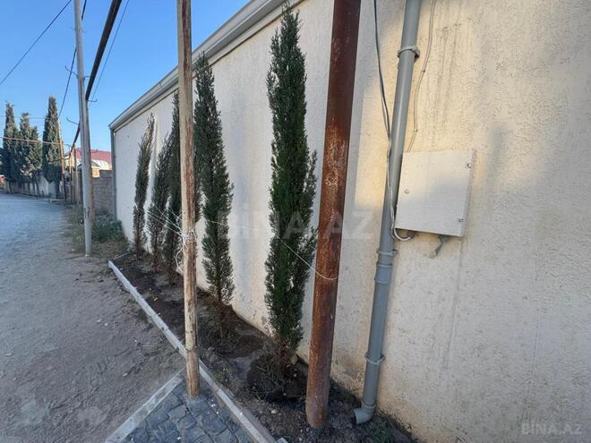 Продаётся 5-комн. дом/дача 200 м², пос. Вишнёвка, photo 29 from 32