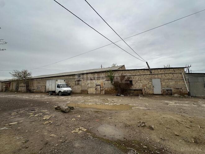 Продаётся  участок 75 сот, пос. Бинагади, photo 4 from 8