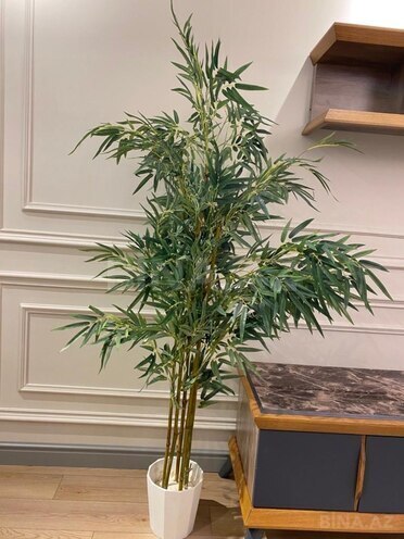 Сдаётся 3-комн. новостройка 100 м², м. 8 ноября, photo 5 from 12