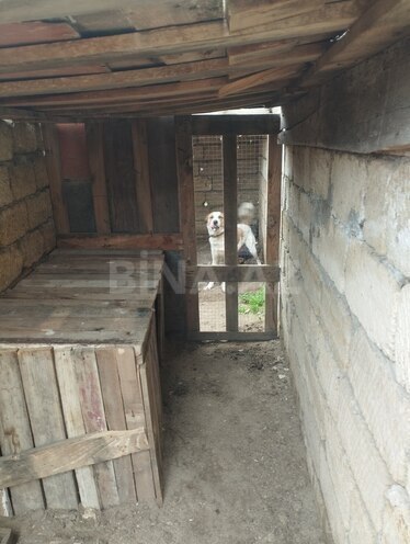 Продаётся  участок 2.2 сот, photo 22 from 28