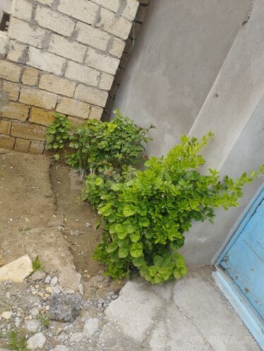 Продаётся  участок 2.2 сот, photo 25 from 28