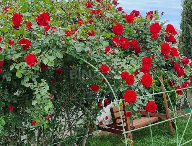 Продаётся 5-комн. дом/дача 226 м², пос. Ени Романы, photo 26 from 32