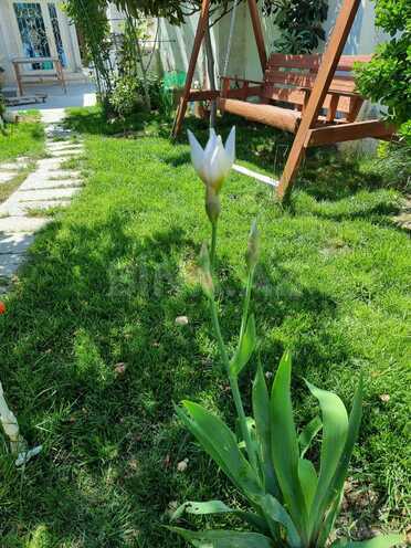 Продаётся 5-комн. дом/дача 226 м², пос. Ени Романы, photo 29 from 32