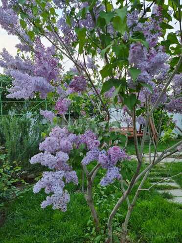 Продаётся 5-комн. дом/дача 226 м², пос. Ени Романы, photo 30 from 32