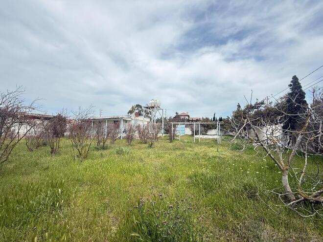 Продаётся  участок 16 сот, пос. Шувеляны, photo 4 from 8